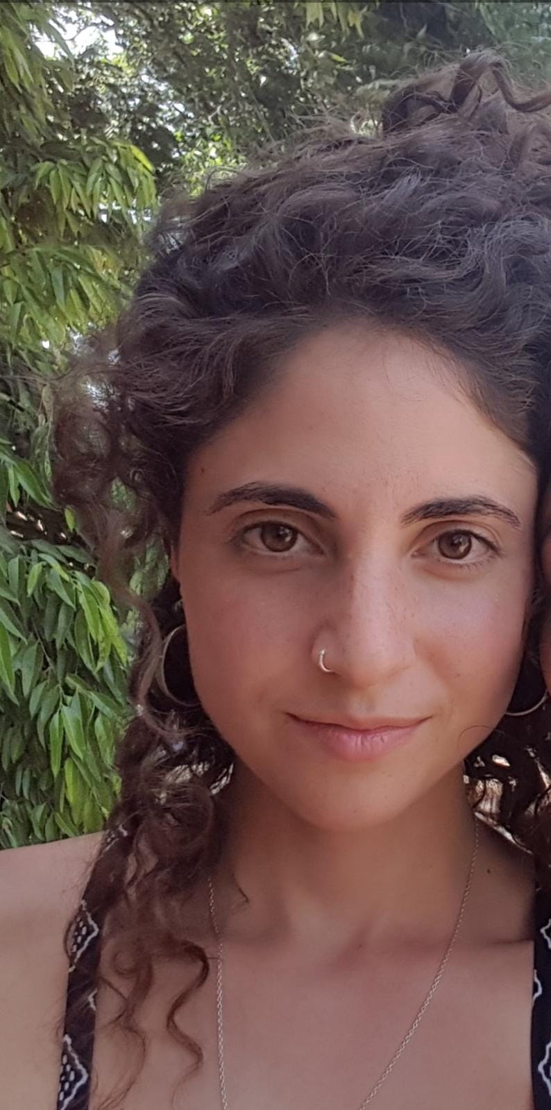 גפן גבאי