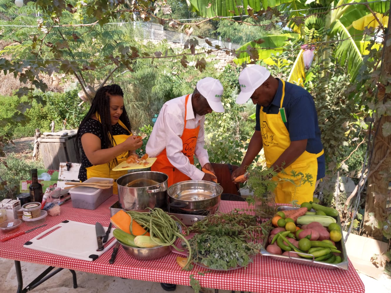 WhatsApp Image 2019-11-12 at 11.19.35