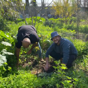 התנדבות - חברת נספרסו