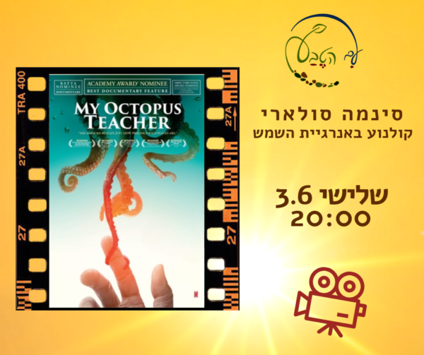 🎬   סינמה סולארי - הסרט: "מורתי התמנונית"