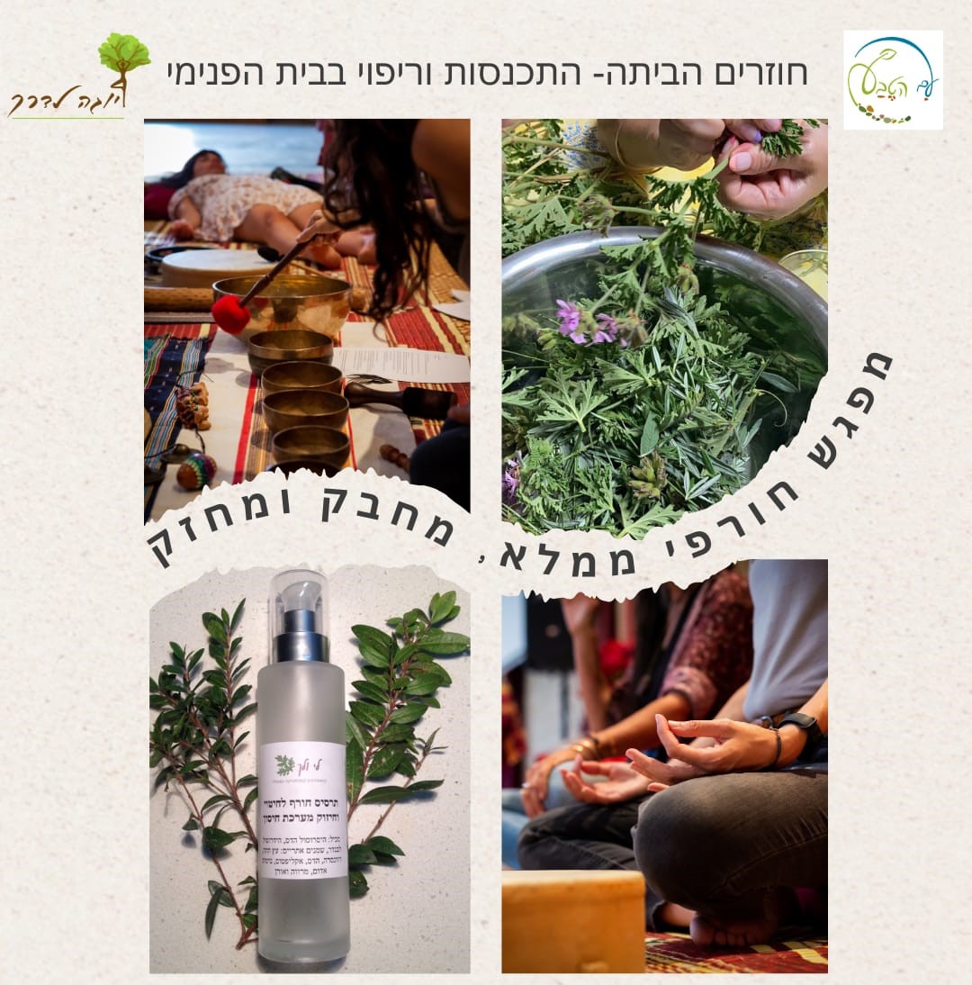 🪷😌🧘🏽♂️ חוזרים הביתה - סדנה למילוי מאגרי גוף ונפש - לקראת החורף